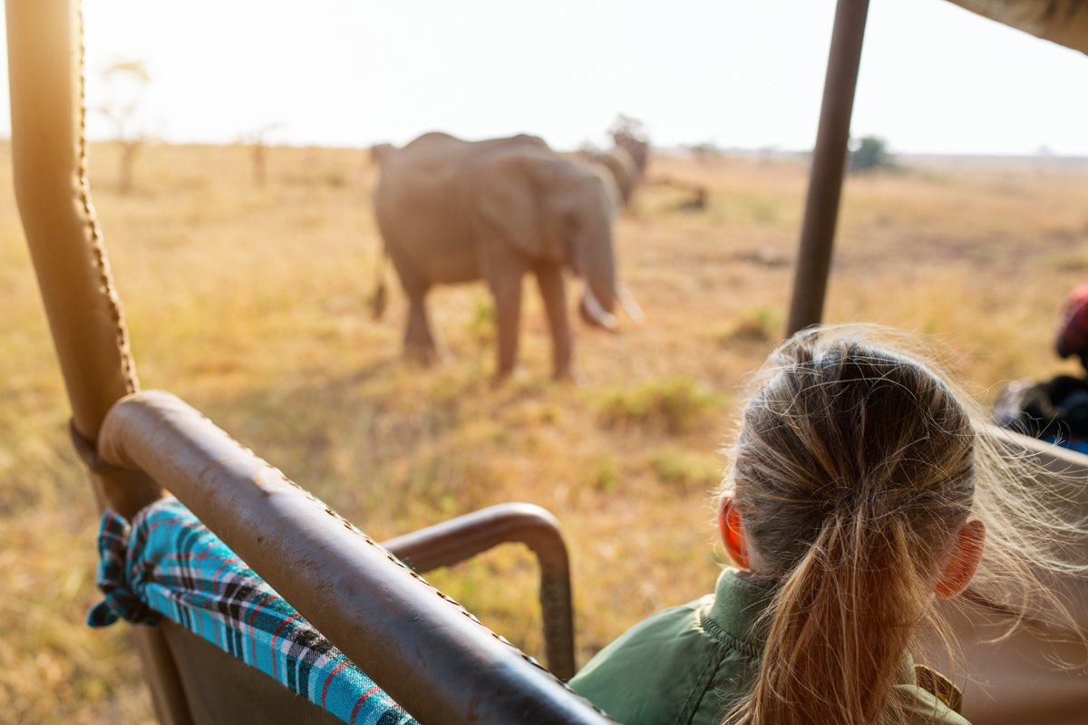 A person with a ponytail observes an elephant walking in a grassy savanna landscape from an open vehicle, featuring a plaid blanket over the seat back.